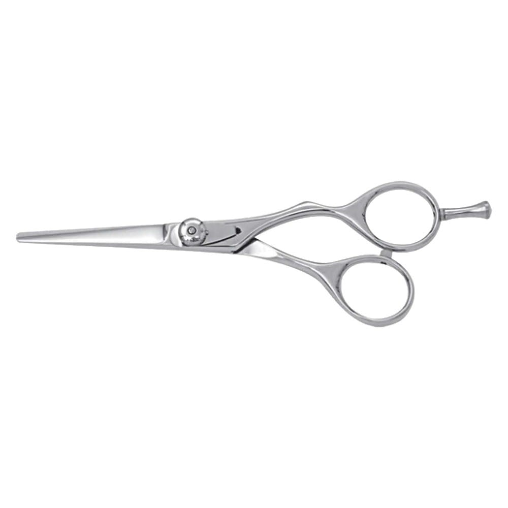 Hair Dressing Scissor (DS 042) 1 Hair Dressing Scissor (DS 042)