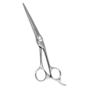 Hair Dressing Scissor (DS 046)