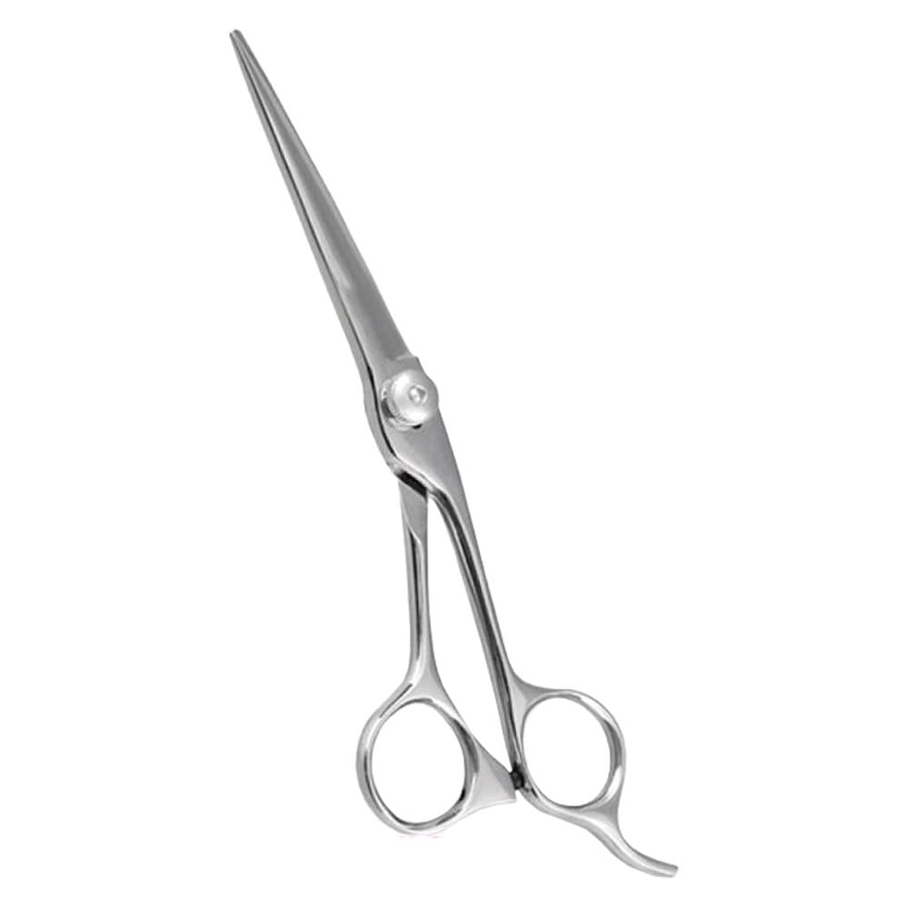 Hair Dressing Scissor (DS 046) 1 Hair Dressing Scissor (DS 046)