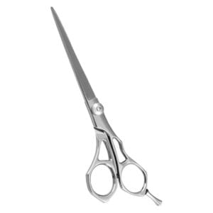 Hair Dressing Scissor (DS 047)