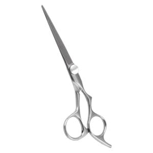 Hair Dressing Scissor (DS 048)