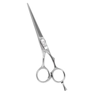Hair Dressing Scissor (DS 049)
