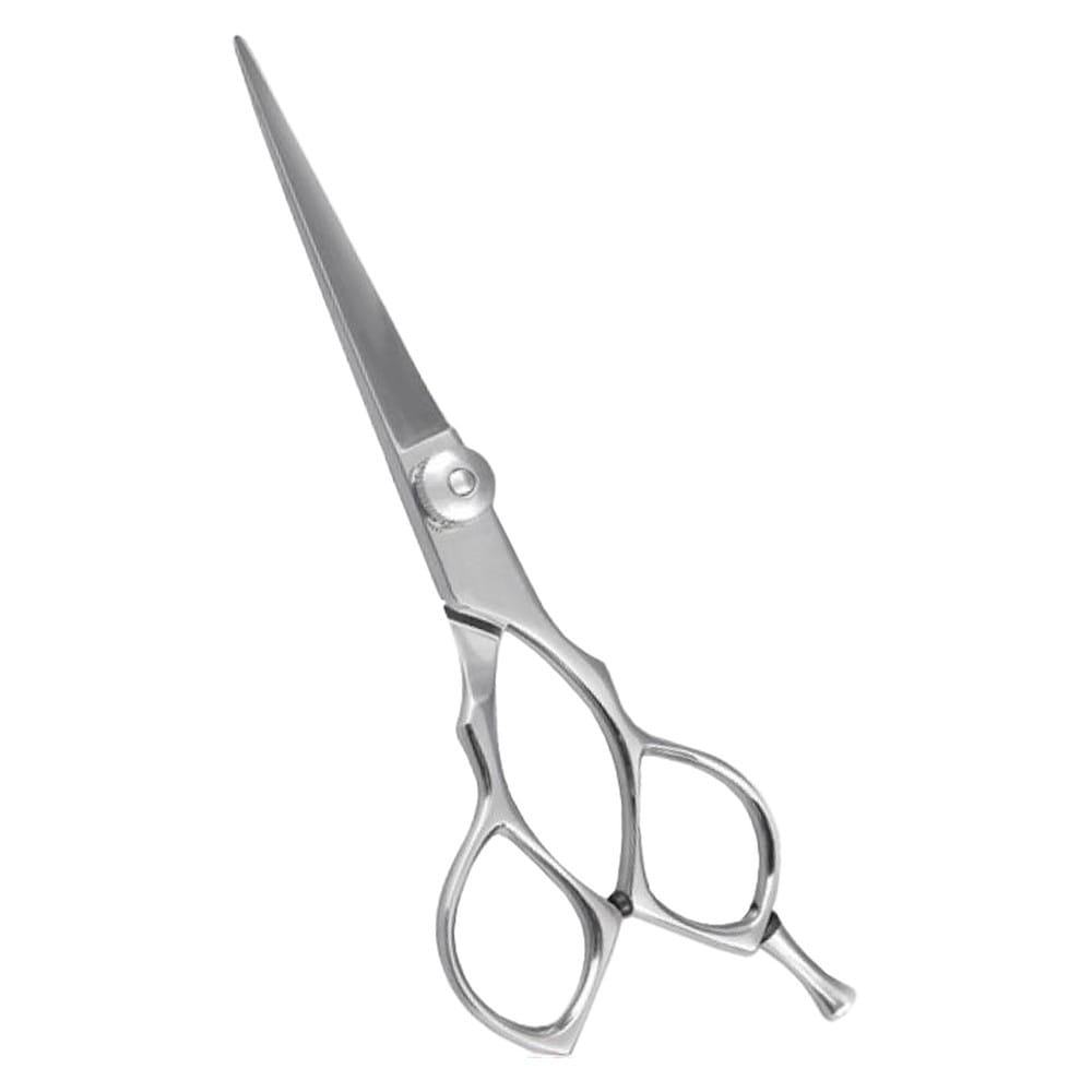 Hair Dressing Scissor (DS 050) 1 Hair Dressing Scissor (DS 050)