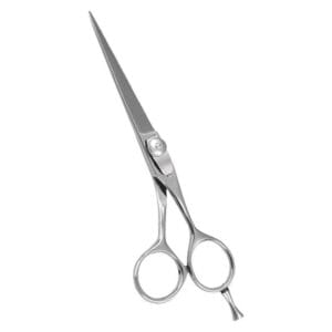 Hair Dressing Scissor (DS 054)