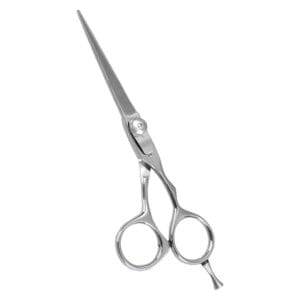 Hair Dressing Scissor (DS 055)