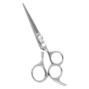 Hair Dressing Scissor (DS 056)