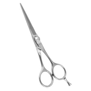Hair Dressing Scissor (DS 058)