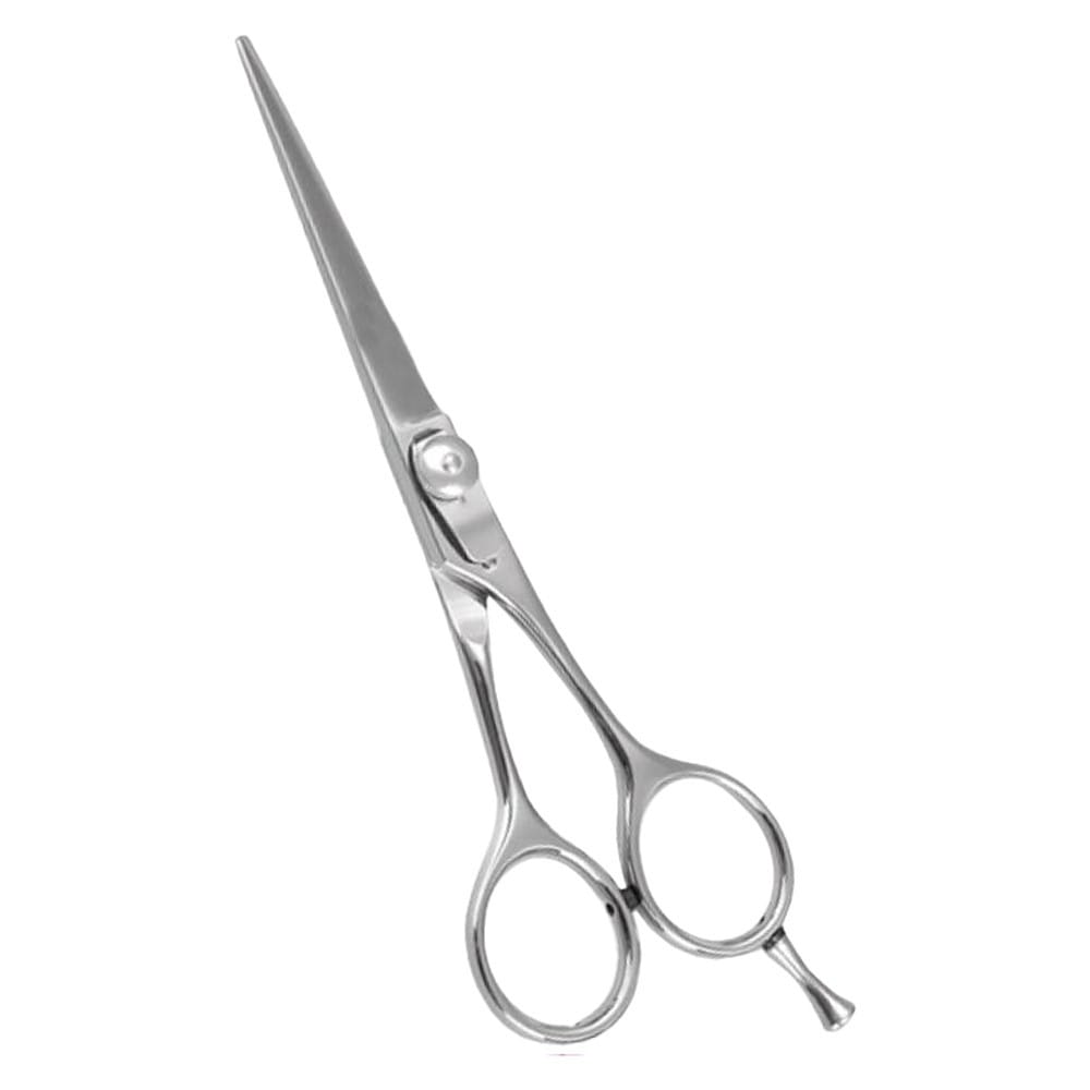 Hair Dressing Scissor (DS 058) 1 Hair Dressing Scissor (DS 058)