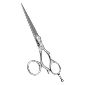 Hair Dressing Scissor (DS 059)
