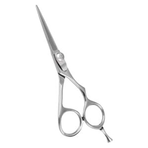 Hair Dressing Scissor (DS 060)