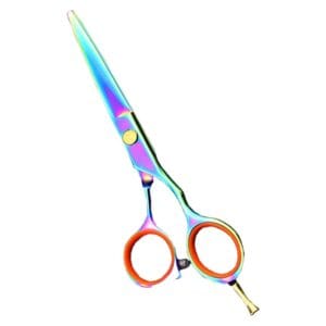 Hair Dressing Scissor (DS 064)