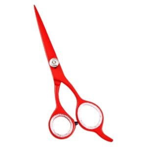 Hair Dressing Scissor (DS 069)