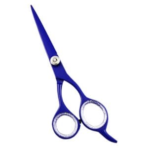 Hair Dressing Scissor (DS 070)