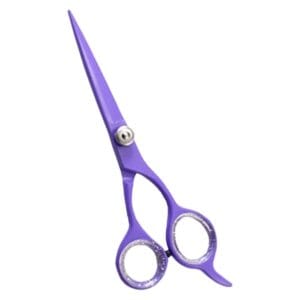 Hair Dressing Scissor (DS 072)