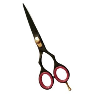 Hair Dressing Scissor (DS 090)