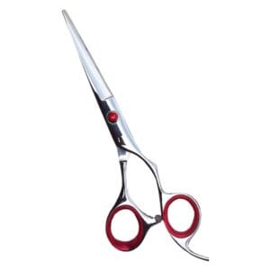 Hair Dressing Scissor (DS 092)