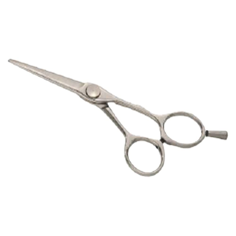 Hair Dressing Scissor (DS 096) 1 Hair Dressing Scissor (DS 096)