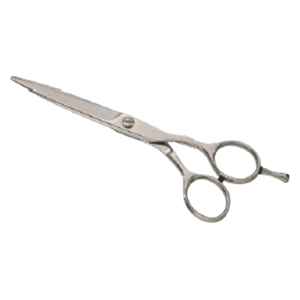 Hair Dressing Scissor (DS 097) 1 Hair Dressing Scissor (DS 097)