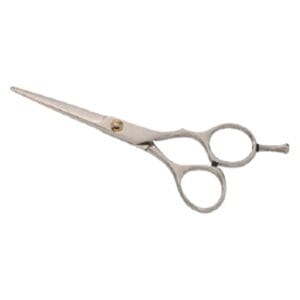 Hair Dressing Scissor (DS 099)