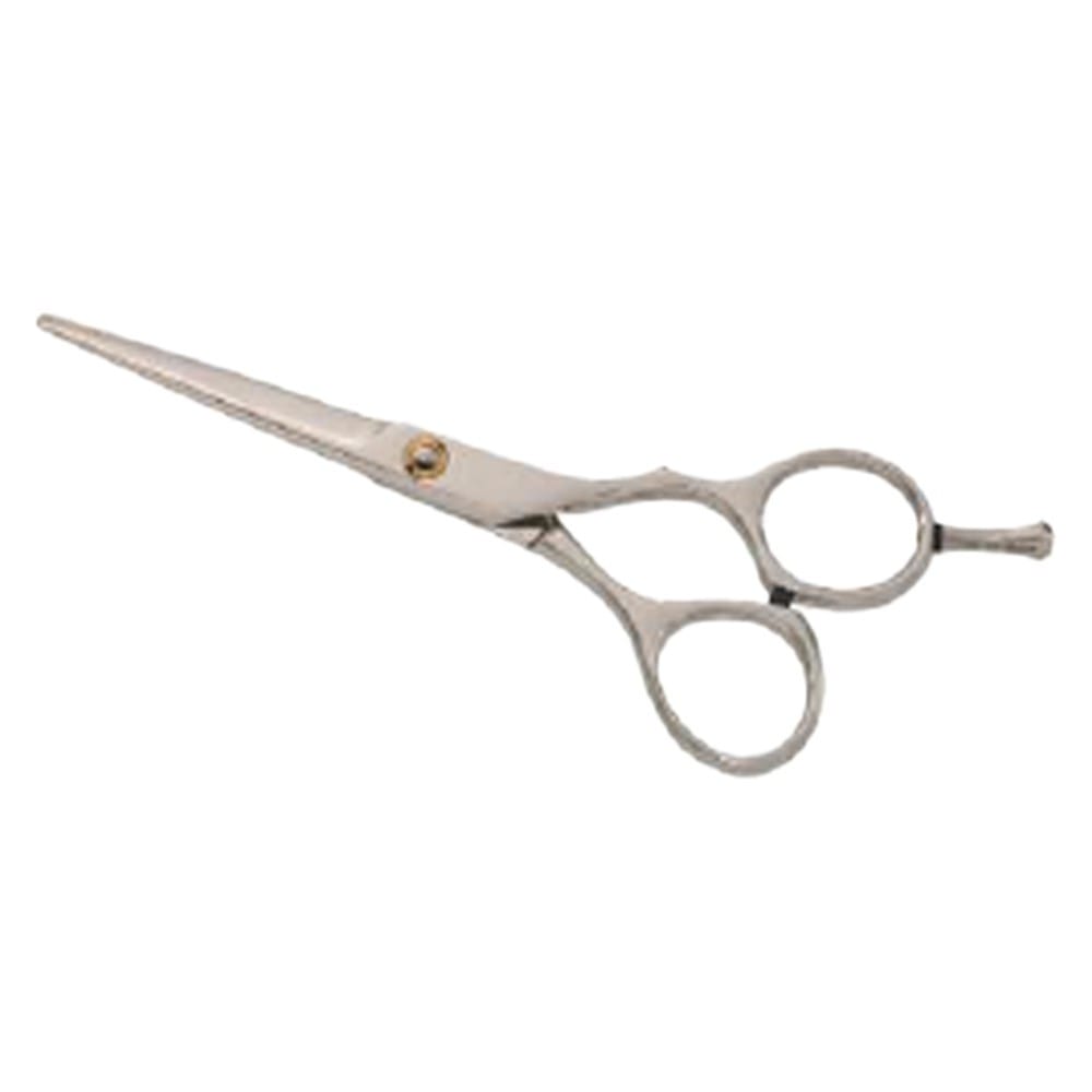 Hair Dressing Scissor (DS 099) 1 Hair Dressing Scissor (DS 099)