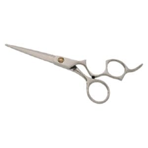 Hair Dressing Scissor (DS 101)