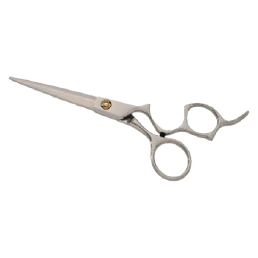Hair Dressing Scissor (DS 101) 1 Hair Dressing Scissor (DS 101)