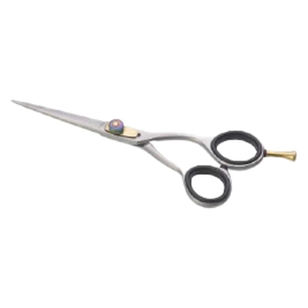 Hair Dressing Scissor (DS 106) 1 Hair Dressing Scissor (DS 106)