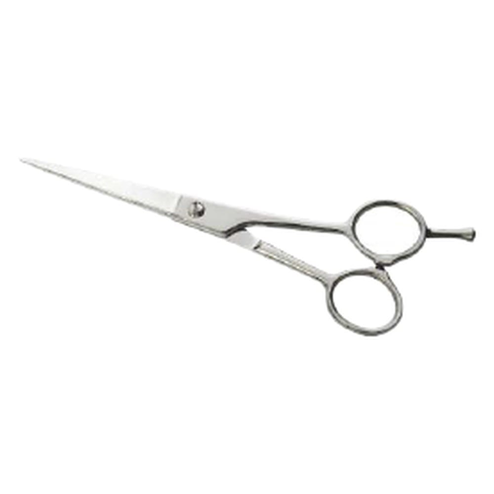 Hair Dressing Scissor (DS 110) 1 Hair Dressing Scissor (DS 110)