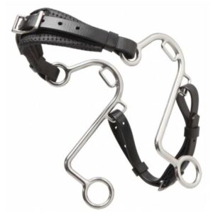 Horse Bits