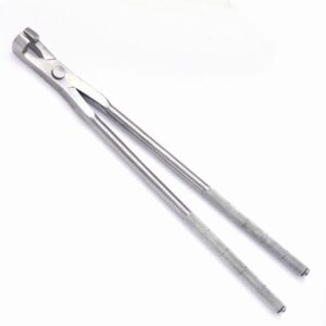 Horse Dental Instruments