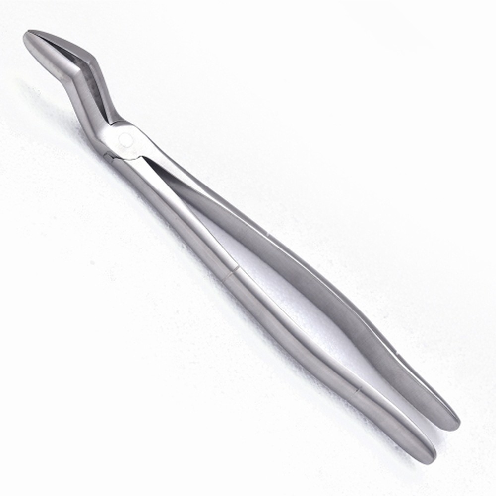 Horse Dental Instrument Model 16 1 Horse Dental Instrument Model 16