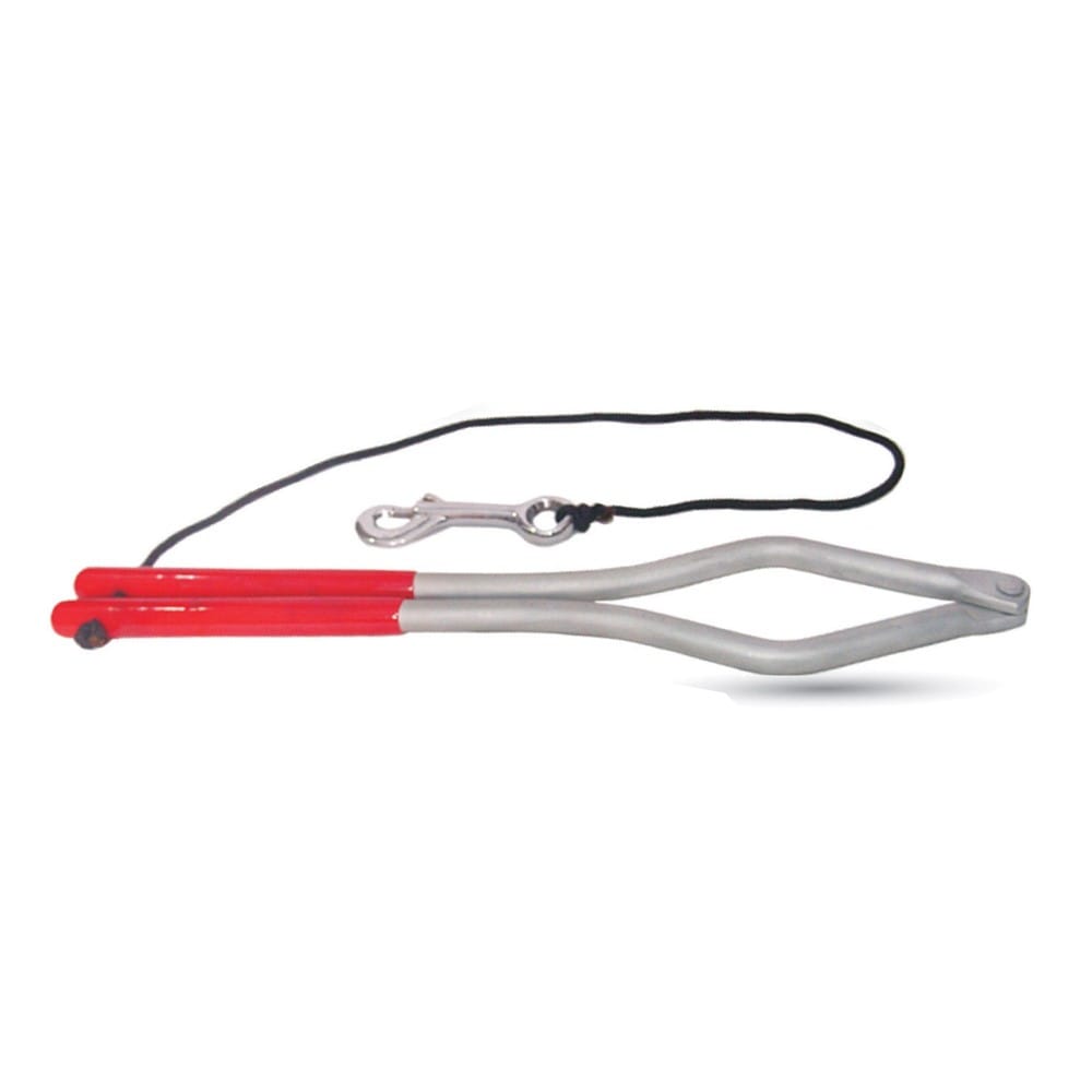 Horse Dental Instrument Model 30 1 Horse Dental Instrument Model 30