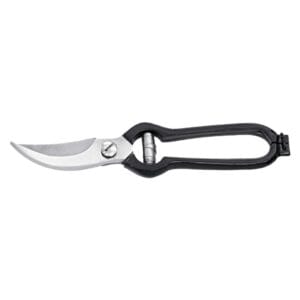 Household Scissor (HS 021)