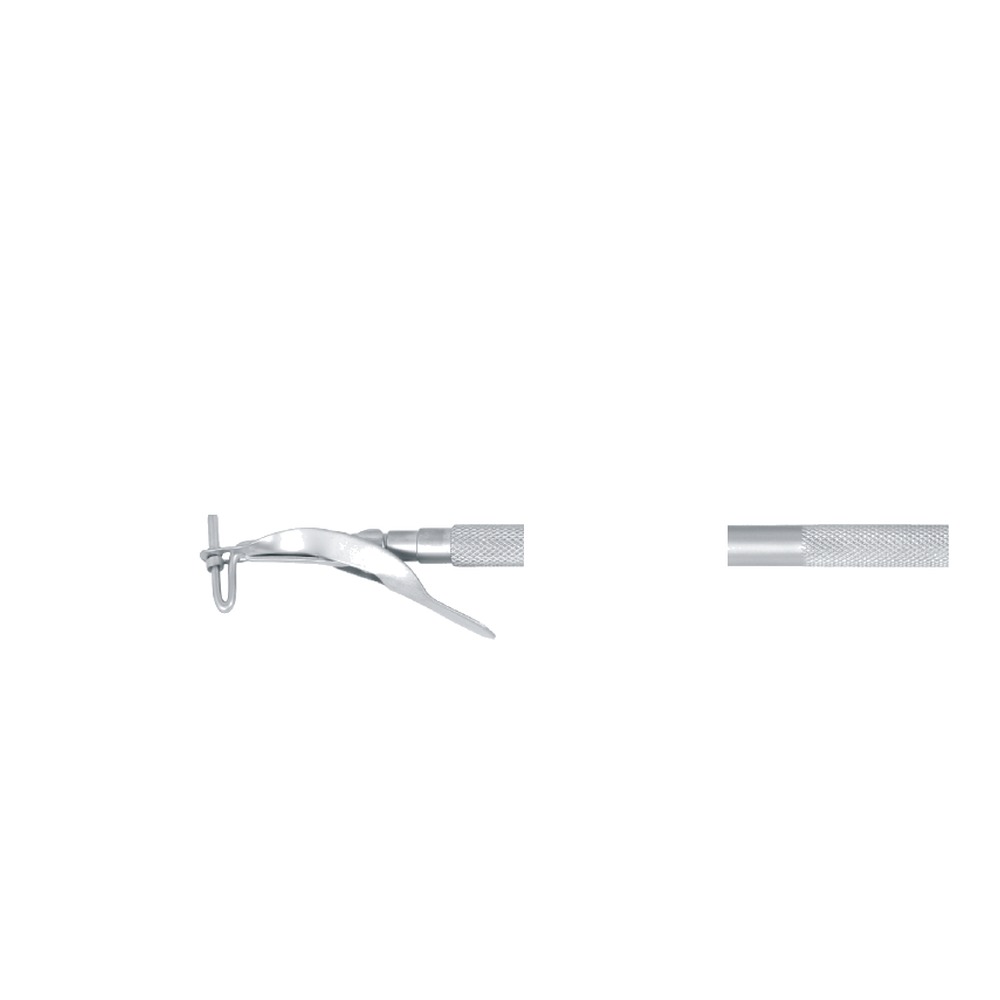 Mini/Regular Amalgam Carrier 1 Mini/Regular Amalgam Carrier