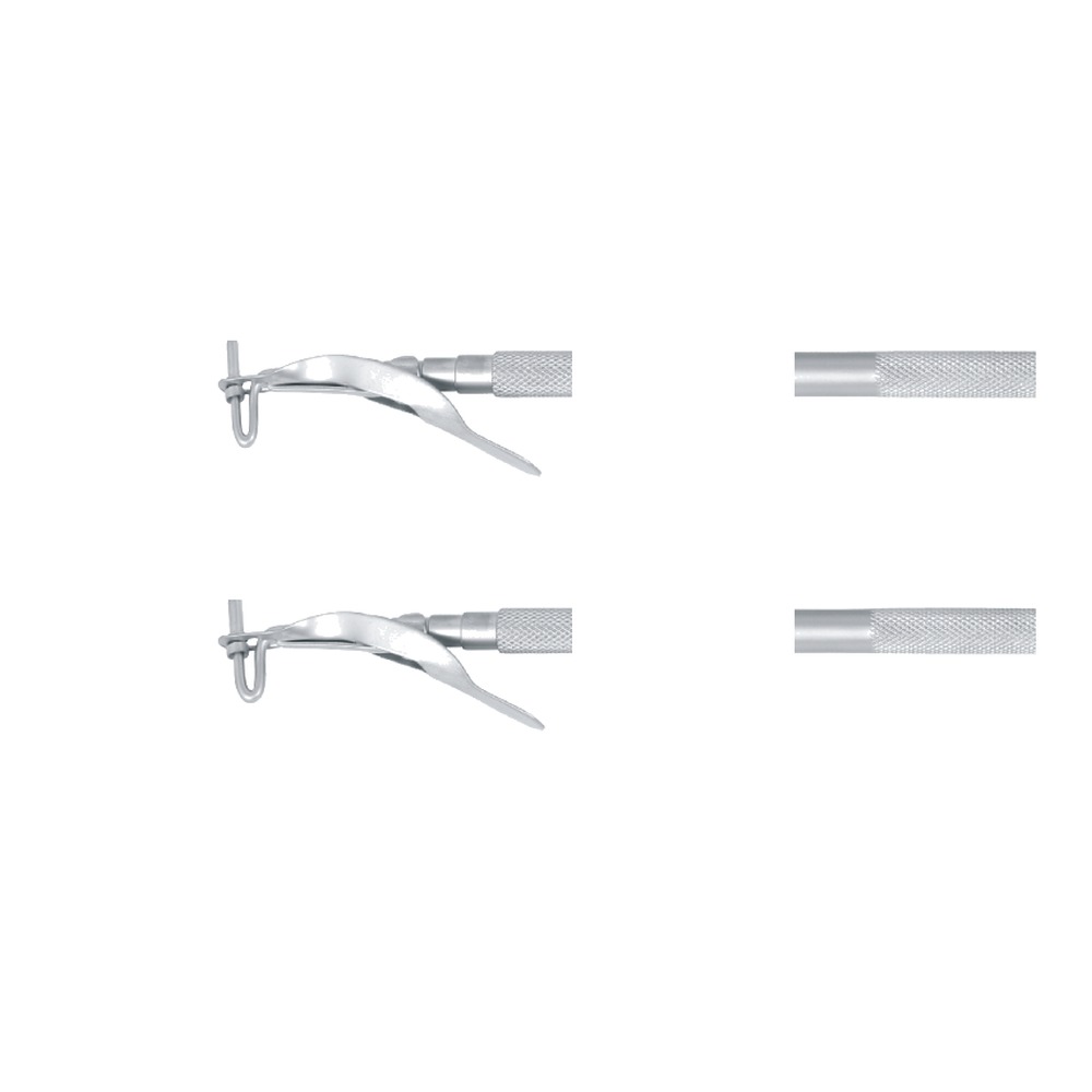 Regular/Large Amalgam Carrier 1 Regular/Large Amalgam Carrier
