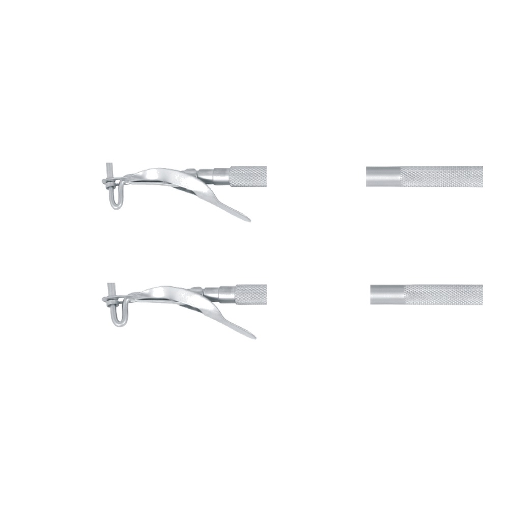 Large/Jumbo Amalgam Carrier 1 Large/Jumbo Amalgam Carrier