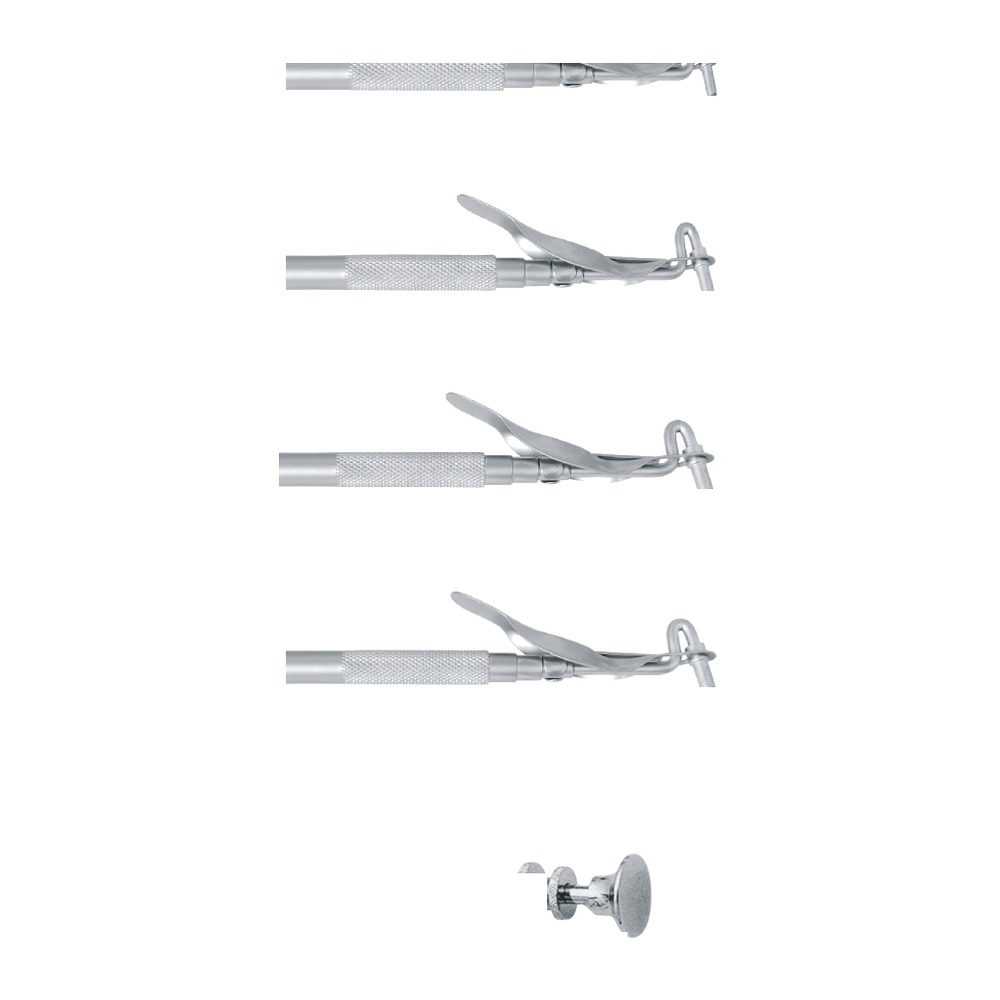 English Pattern Amalgam Carrier 1 English Pattern Amalgam Carrier