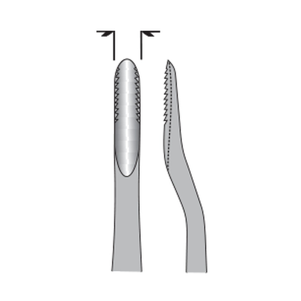 Llm Distal Bayonet Distal Bein 1 Llm Distal Bayonet Distal Bein