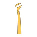 Cryer Root Elevator DE 42 30