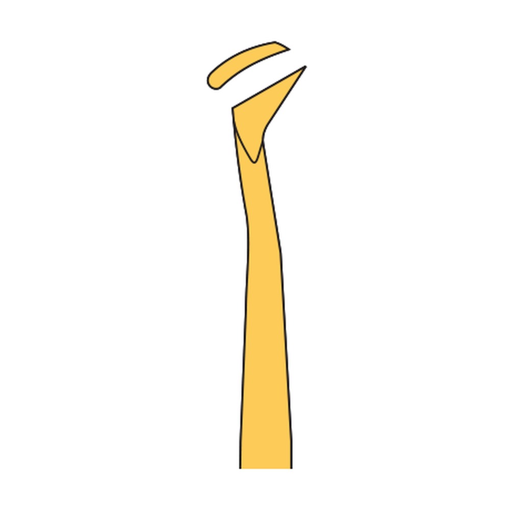 Cryer Root Elevator 1 Cryer Root Elevator
