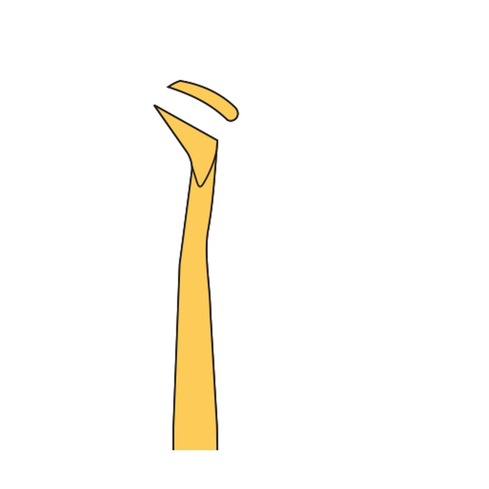 Cryer Root Elevator DE-42-31 1 Cryer Root Elevator DE-42-31