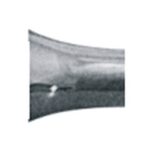 Ruddle Right Endodontic Instrument EI 95 02