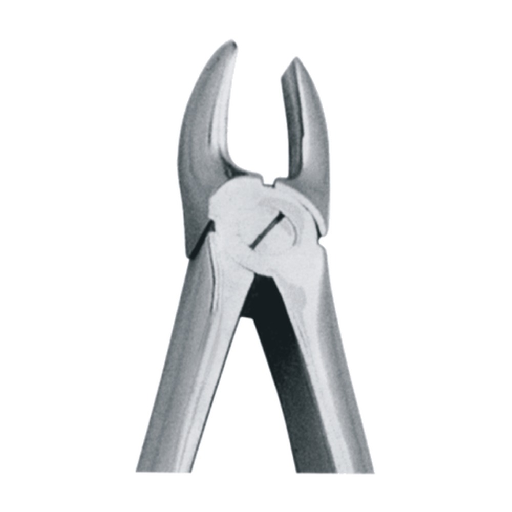 Upper Centrals & Canines Cuspids 1 Upper Centrals & Canines Cuspids