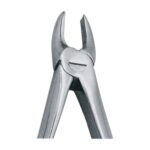 Upper Laterals & Canines Cuspids EX 10 02