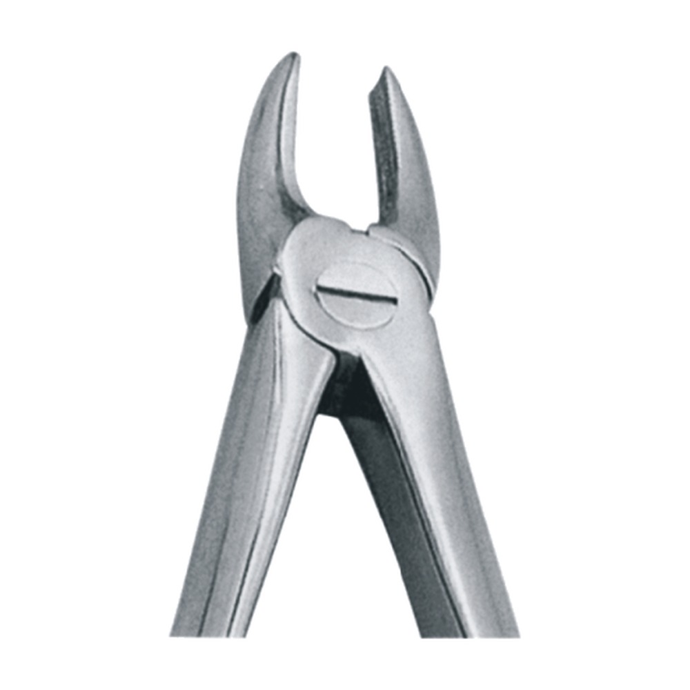 Upper Laterals & Canines Cuspids 1 Upper Laterals & Canines Cuspids