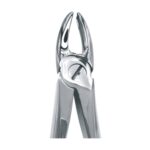 Upper Incisors & Canines Extracting Forceps EX 10 03