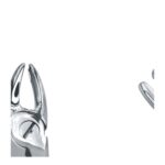 Lower Incisors & Cuspids Extracting Forceps EX 10 04