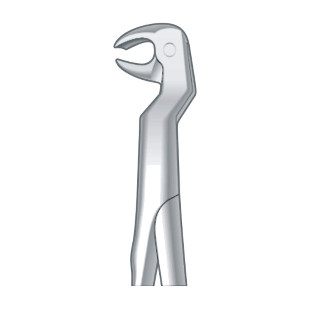 L Lower Molars & Wisdom Teeths Left Fig. 122 1 L Lower Molars & Wisdom Teeths Left Fig. 122