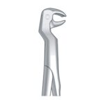 R Lower Molars & Wisdom Teeths Right Fig. 122 EX 10 122R
