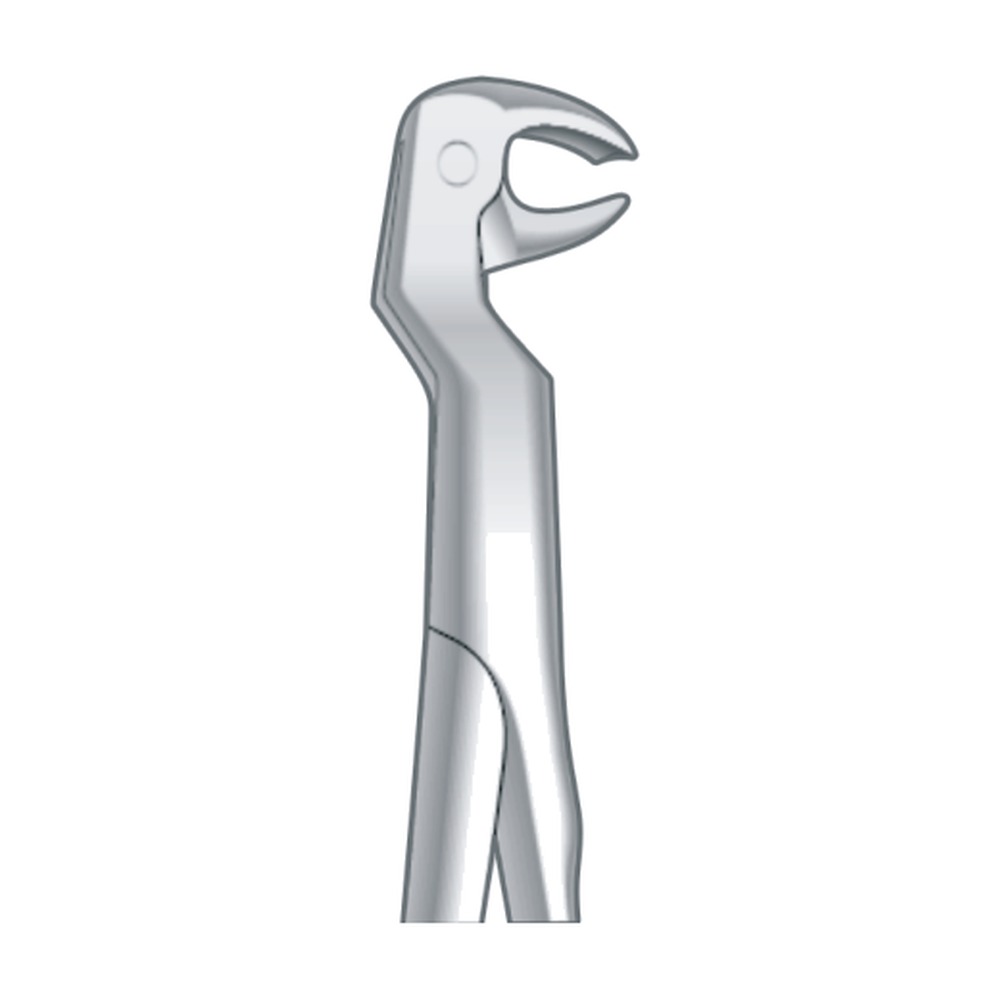 R Lower Molars & Wisdom Teeths Right Fig. 122 1 R Lower Molars & Wisdom Teeths Right Fig. 122